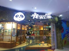 -龟与熊猫宠物公园(南坪店)