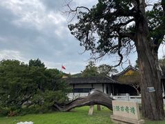 -司徒庙