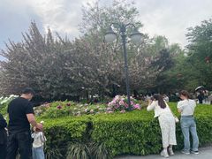 -西安青龙寺遗址景区