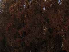 -南京金牛湖风景区