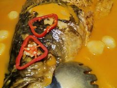 -解家河南菜(金水路店)
