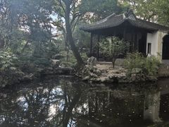 -秋霞圃