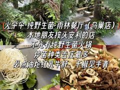 -西双版纳原始森林公园