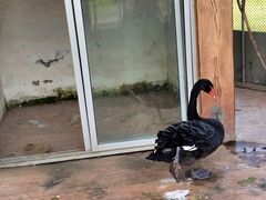 -祥源·阜阳生态乐园