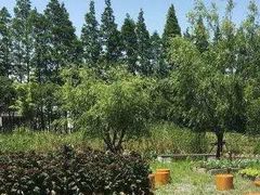 -前小桔亲子创意农场·草莓采摘·露营烧烤