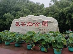 -莲花池公园