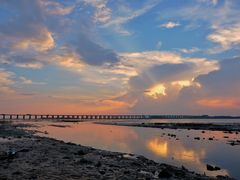 -宝安西湾红树林湿地公园