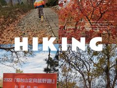 -阳台山自然风景区