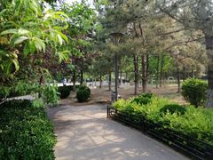 -大兴滨河森林公园