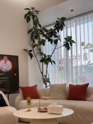 -WENDY·温迪皮肤管理