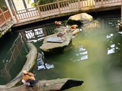 -南宫五洲植物乐园