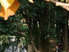 -上海共青森林公园