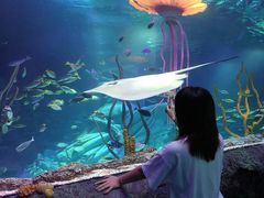 -沈阳海洋探索中心