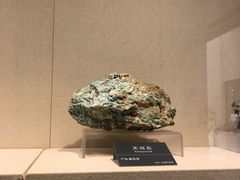 -安徽省地质博物馆