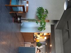 -梵猫·新养生(湛江鼎盛店)