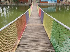 -东方巨龟苑景区