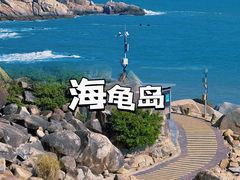 -广东惠东海龟国家级自然保护区