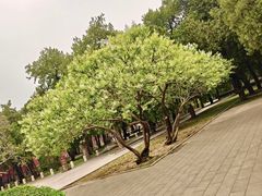 -北京市劳动人民文化宫(太庙)