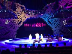 -珠海横琴长隆《卡卡虎奇遇记》