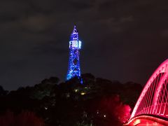 -金鸡山公园