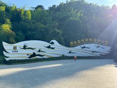 -西双版纳原始森林公园