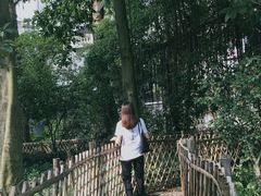 -小洲村