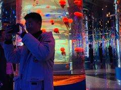 -石家庄海洋公园