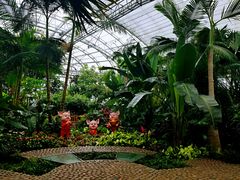 -北京植物园-展览温室