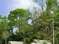 -云栖山谷野奢营地