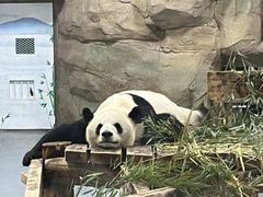 -无锡动物园·太湖欢乐园