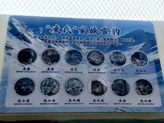 -青藏高原野生动物园