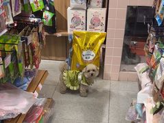 -FAELING PETS美天灵宠物(富力广场店)