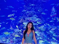 -东湖欢乐水世界
