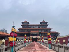 -野狸岛