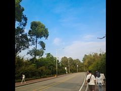 -南沙天后宫景区
