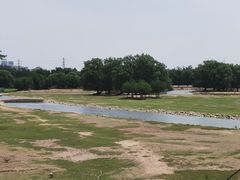 -北京麋鹿生态实验中心