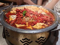 -探鱼·鲜青椒爽麻烤鱼(番禺万达店)