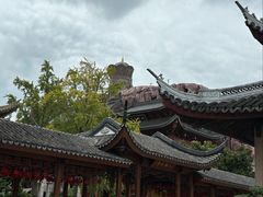 -上海东林寺(金山区)