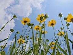 -济南国际园博园