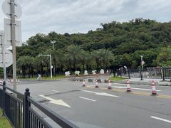 -野狸岛