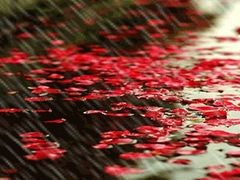 -马浜花园