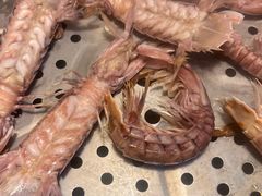 -九月海·海鲜自助(世纪东方店)
