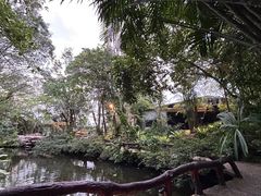 -绿光森林餐厅