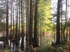 -东湖落雁景区