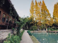 -乌村