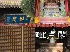 -洛阳白马寺