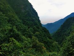 -峨眉山风景名胜区