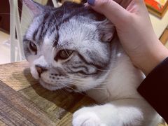-小时光咖啡馆(开森度假森林店)