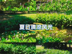 -上海滨江森林公园