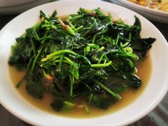 菠菜-梨云山居农家乐